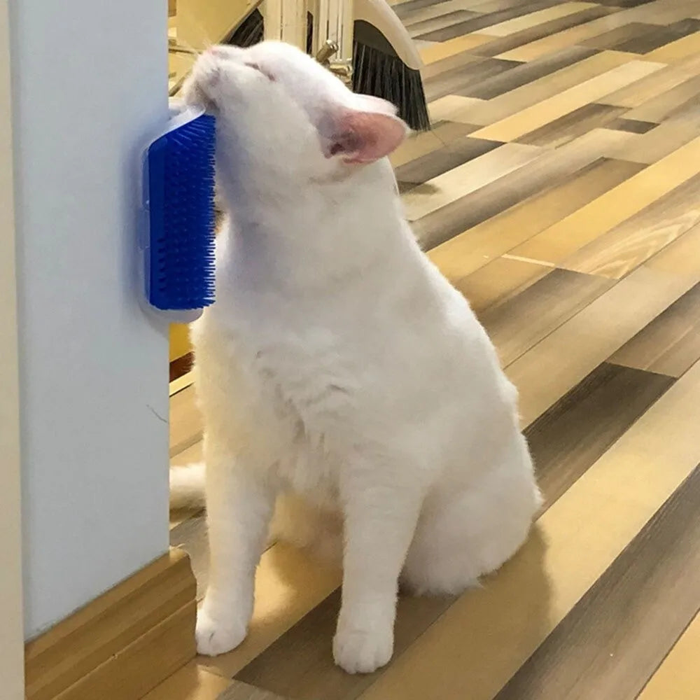 Escova de Parede com Catnip que Remove Pelos e Relaxa
