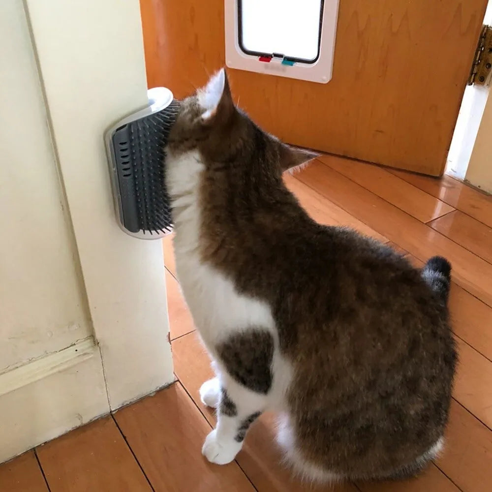 Escova de Parede com Catnip que Remove Pelos e Relaxa