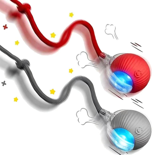 Bola Interativa Inteligente que Estimula o Instinto de Caça