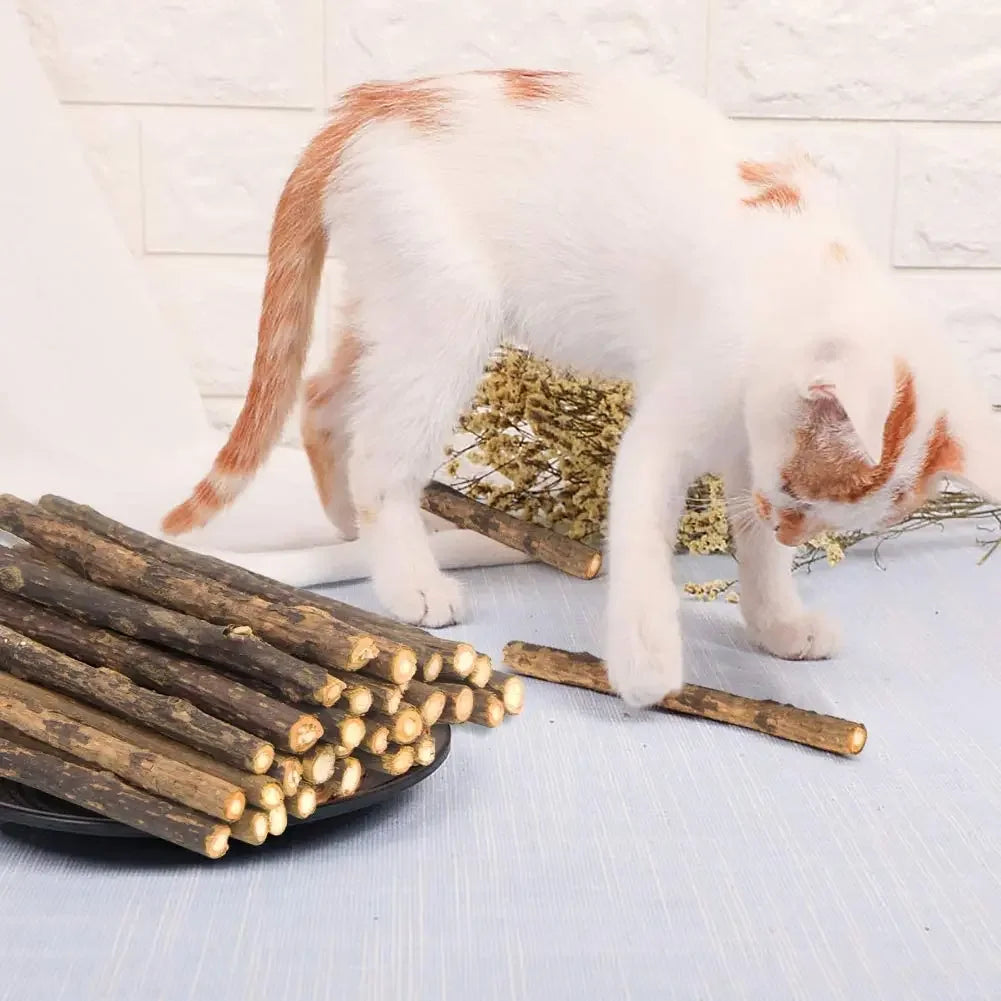 Kit Matatabi Natural que Limpa os Dentes e Relaxa seu Gato