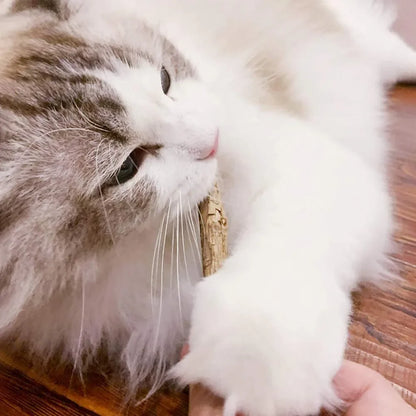 Kit Matatabi Natural que Limpa os Dentes e Relaxa seu Gato