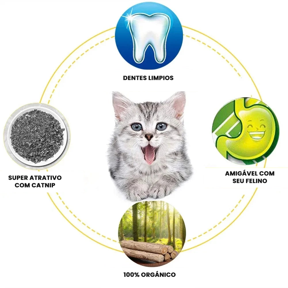 Kit Matatabi Natural que Limpa os Dentes e Relaxa seu Gato