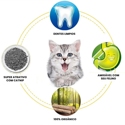 Kit Matatabi Natural que Limpa os Dentes e Relaxa seu Gato