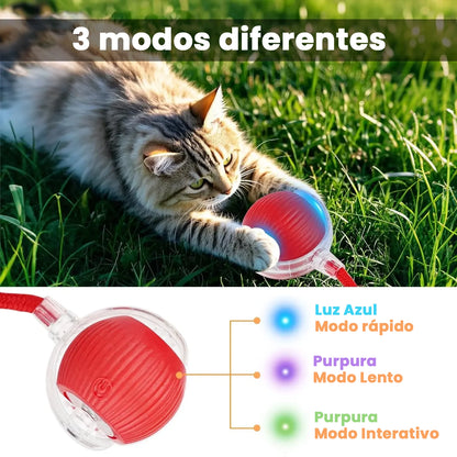 Bola Interativa Inteligente que Estimula o Instinto de Caça