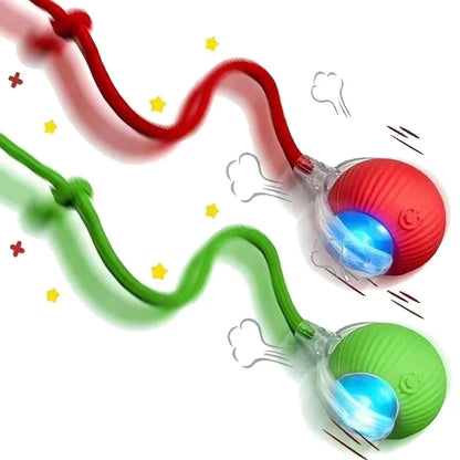 Bola Interativa Inteligente que Estimula o Instinto de Caça